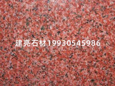 貴妃紅，富貴紅，燕山紅 (2)