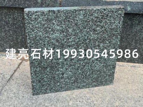 森林綠，萬(wàn)年青 (2)