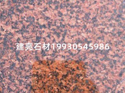 貴妃紅，富貴紅，燕山紅 (3)